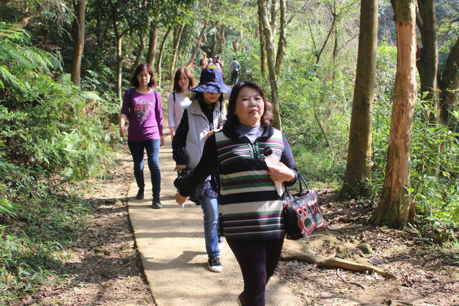 楓樹坑步道踏查，開新視窗